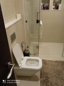 Toilet Fixing